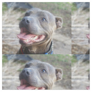 Tissu Happy Staffordshire Bull Terrier,