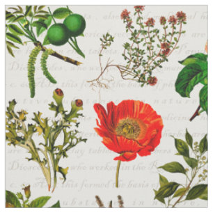 Tissu Herbarium des fleurs de plantes pharmaceutiques M
