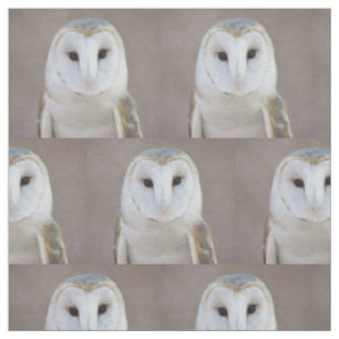 Tissu Hibou de grange