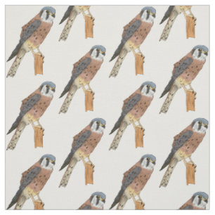 Tissu Illustration d'oiseau américain Kestrel