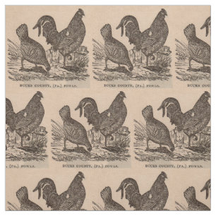 Tissu Imprimé au 19e siècle Bucks Comté poulets poulets