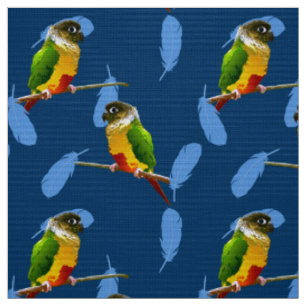 Tissu Jouer Vert Conure Parakeet Amusant Oiseau Plumes B