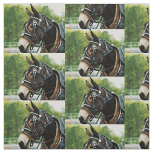 Tissu jours de mule