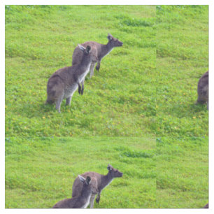 Tissu Kangourous australiens sur un pâturage vert,