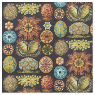 Tissu La vie d'océan d'Ascidiae d'Ernst Haeckel