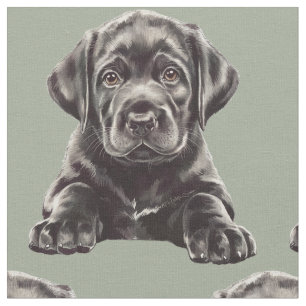 Tissu Labrador Retriever noir 