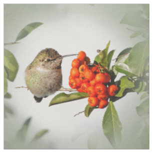 Tissu L'adorable colibri d'Anna sur le Berry Bush