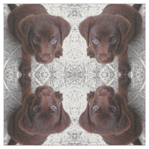 Tissu L'amour des chiots