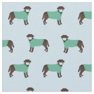 Tissu Le labrador au chocolat à Scrubs bleu clair