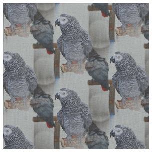 Tissu Le perroquet gris du Congo en miroir