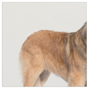 Tissu Leonberger