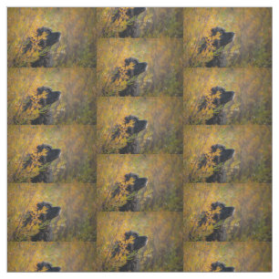 Tissu Leonberger d'automne