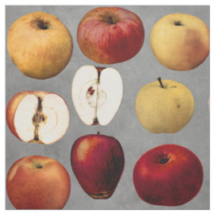 Tissu Les Pommes dorées rouges de l'enseignant
