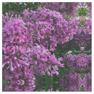 Tissu lilas rose violet   photo florale rose romantique