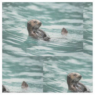 Tissu Loutre de mer de observation