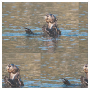 Tissu Loutre de mer ensoleillée