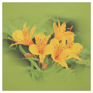 Tissu Lys élégant des Incas / Alstroemeria jaune