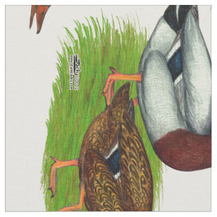 Tissu Mallard Drake et Duck