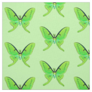 Tissu Mite de Luna sur un pâle - arrière - plan vert