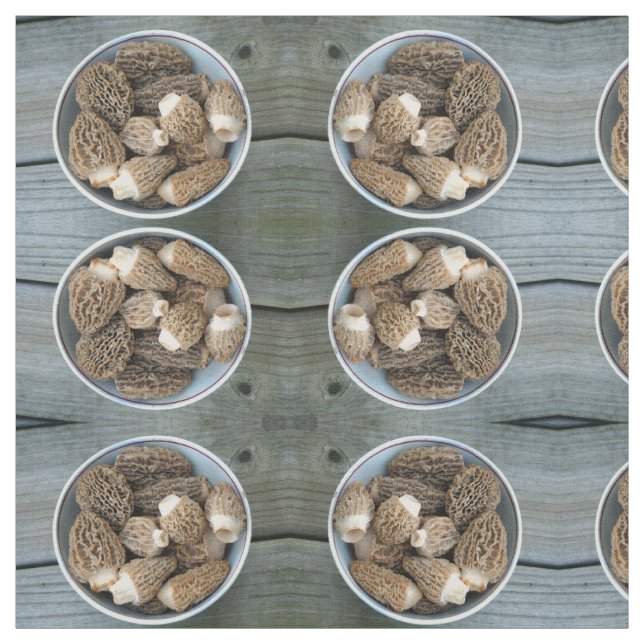 Tissu Morel Mushrooms (Échantillon)