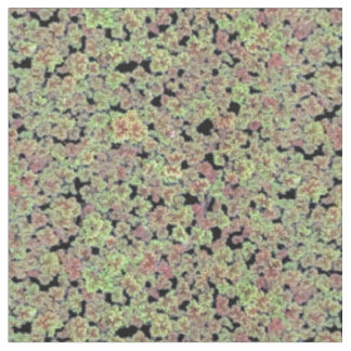 Tissu Moss de fée - V2