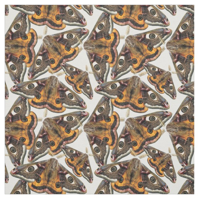 Tissu Motif de mite (Échantillon)
