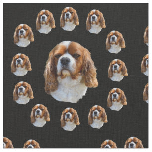 Tissu Motif du roi Charles Spaniel,