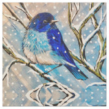 Mountain Bluebird