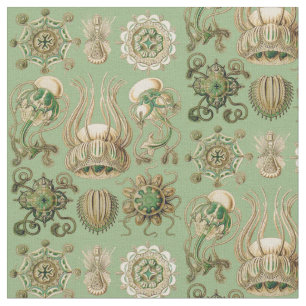 Tissu Narcomedusae d'Ernst Haeckel