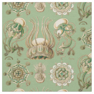 Tissu Narcomedusae d'Ernst Haeckel