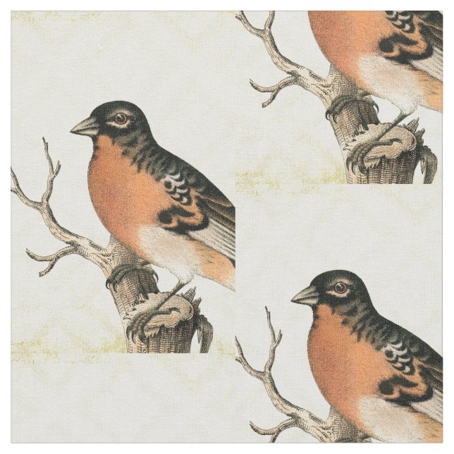 Tissu Oiseau vintage (Fermer)