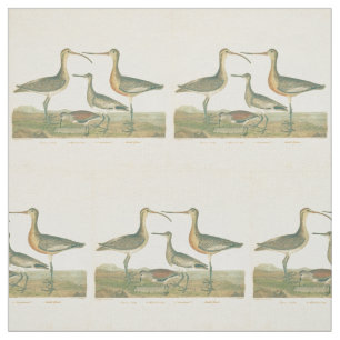 Tissu Oiseaux de marais Courlis Oiseaux