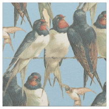 Oiseaux sur un fil