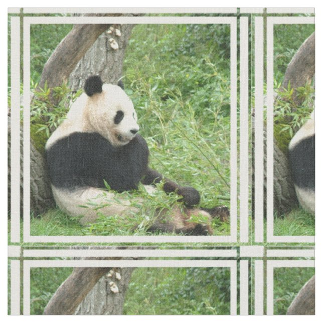 Tissu panda-4.jpg (Fermer)