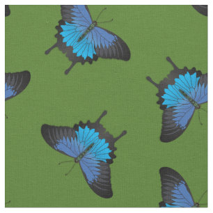 Tissu Papilio Ulysses Papillons à queue épaisse Papillon