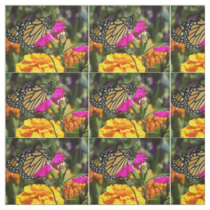 Tissu Papillon Monarque sur marigold rose