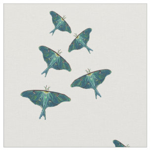 Tissu Papillon papillon bleu