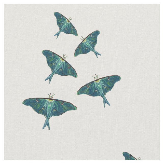 Tissu Papillon papillon bleu (Fermer)