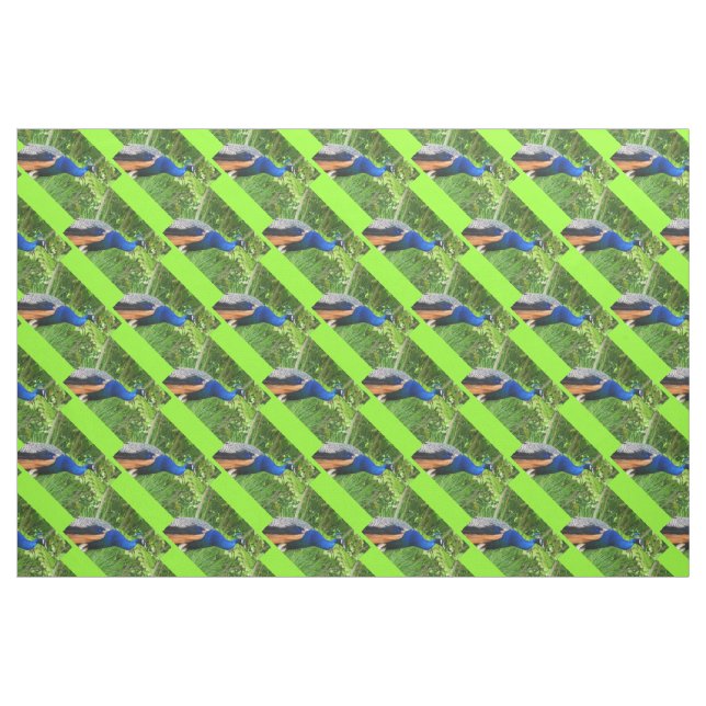 Tissu Peacocks (Fat Quarter)