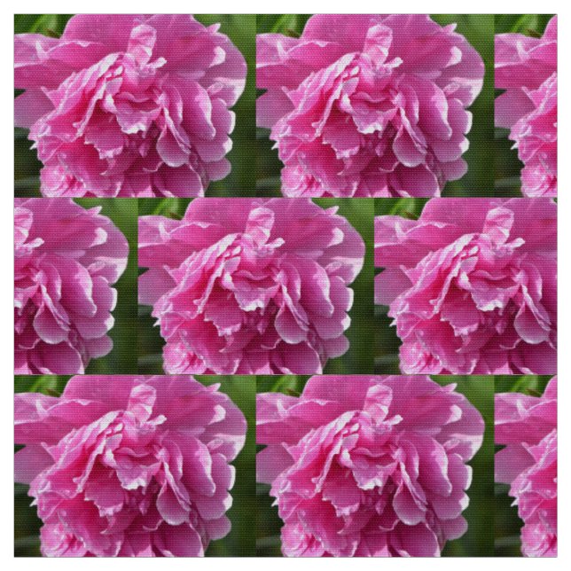 Tissu Peony rose (Échantillon)