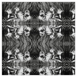 Tissu Petits canards