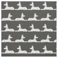 Pharaon Hounds Chiens égyptiens gris et blanc