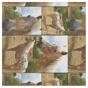 Tissu Photo Collage d'Appaloosa Horses