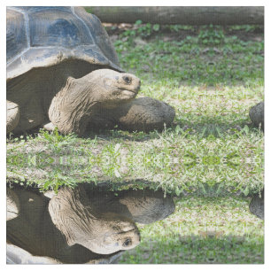 Tissu Photo de tortue de la faune