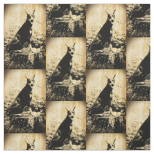 Tissu Photo vintage de Pinscher de dobermann vieille