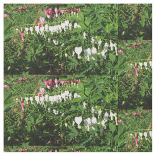 Tissu Photographie blanche rose de défenseurs de la