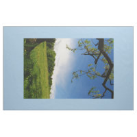 Photographie de l'arbre des prairies alpines Impri