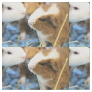 Tissu Piggy