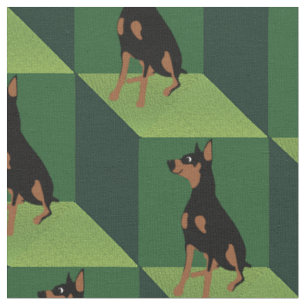Tissu Pinscher de dobermann sur les cubes verts