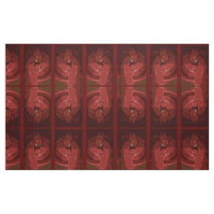 Tissu Plan du homard